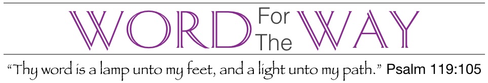 UNADJUSTEDNONRAW_thumb_ecf